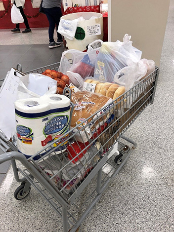 photo of groceries in shopping cart 
